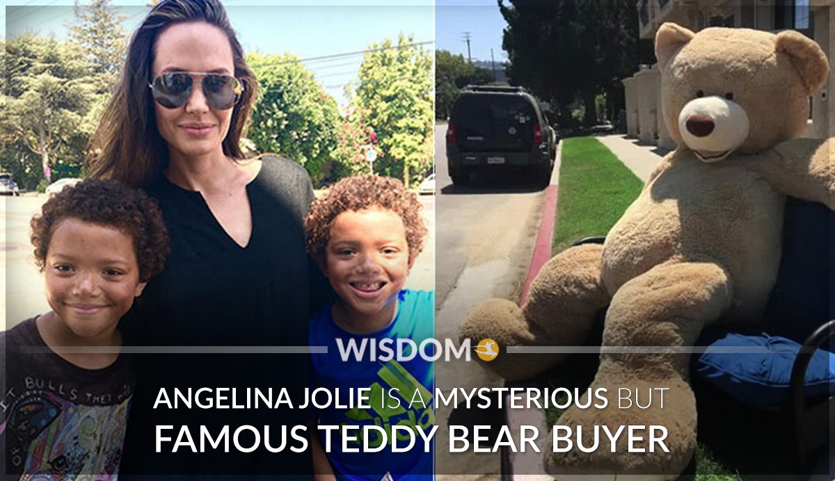 Angelina Jolie Teddy Bear Buyer