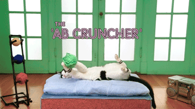 The Ab Cruncher Cat